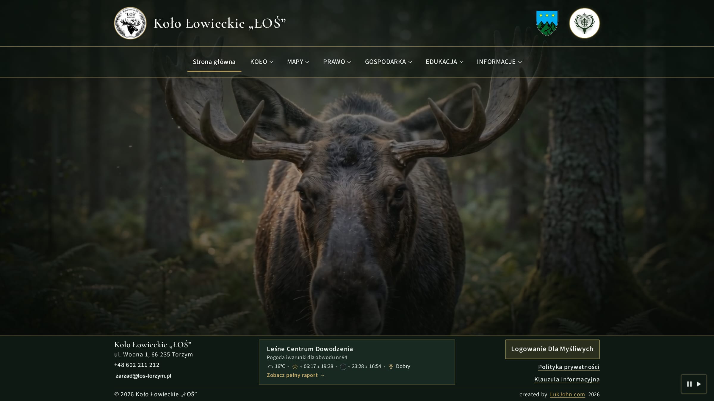 Site view — design and delivery of the Koło Łoś website